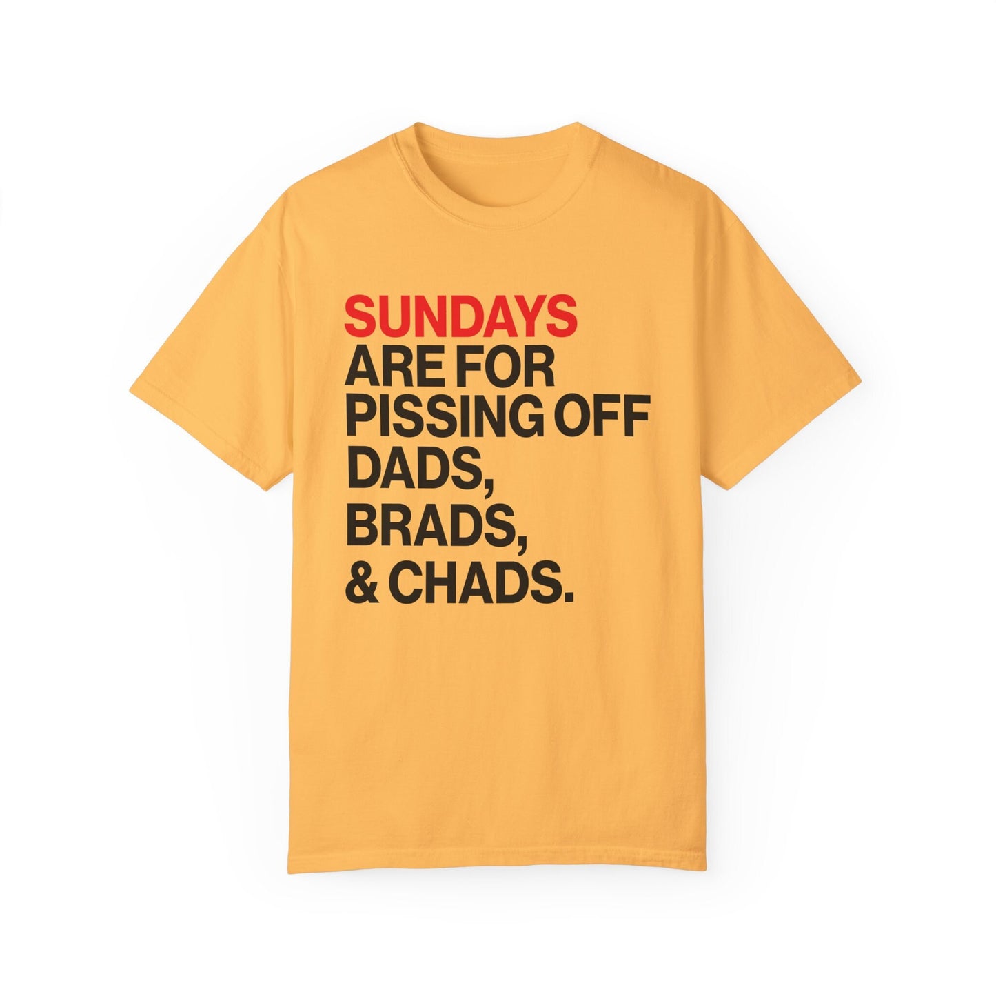 Sundays Are For Dads, Brads, and Chads Football Sunday Shirt Swiftie Football Tee Tswift Funny Tee In My Football Era Merry Swiftmas