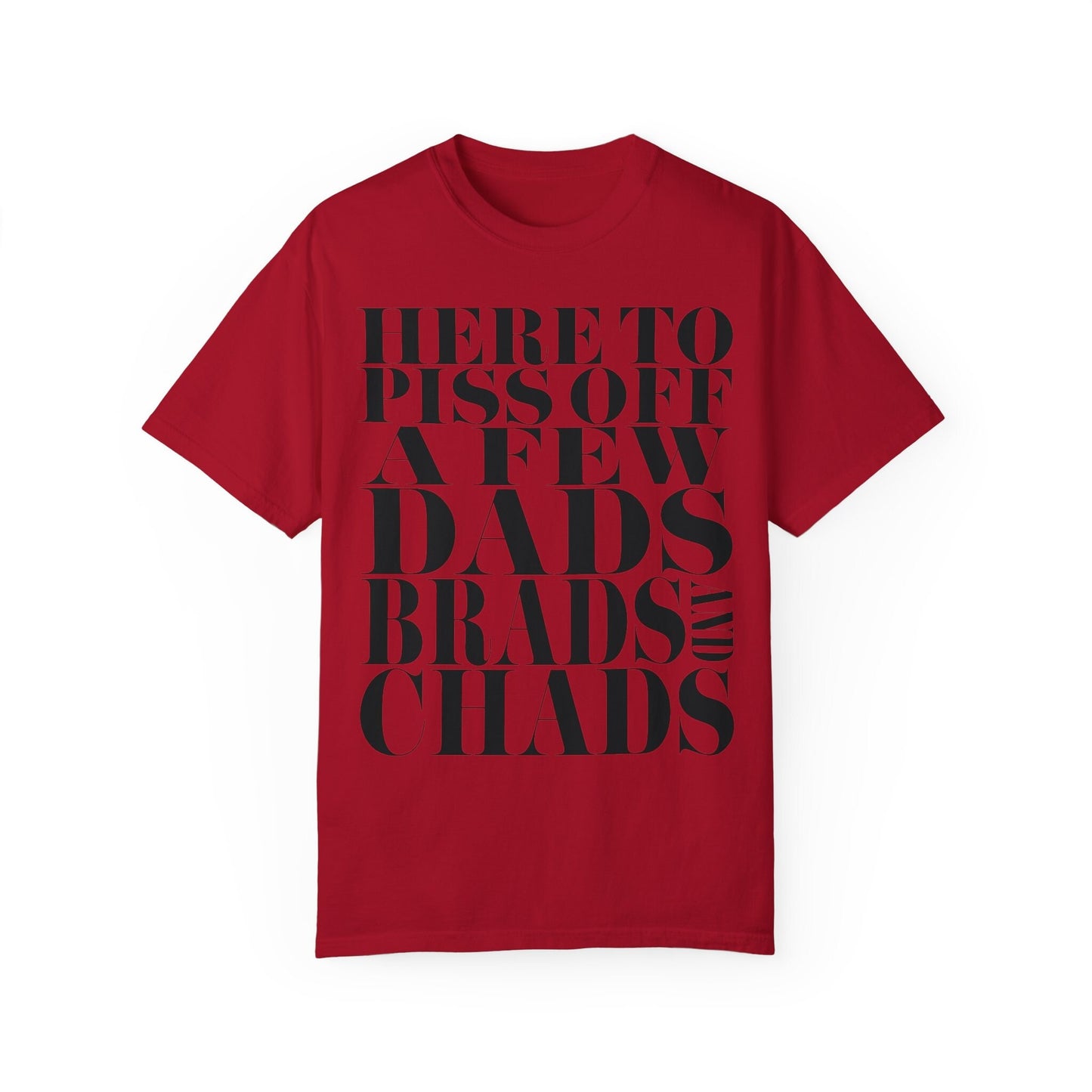 Dads, Brads, and Chads Comfort Colors Tee Funny Meme Tee Swiftie Tswift Tshirt Swiftmas Funny Gift For Her Funny Tshirt Football Era Shirt