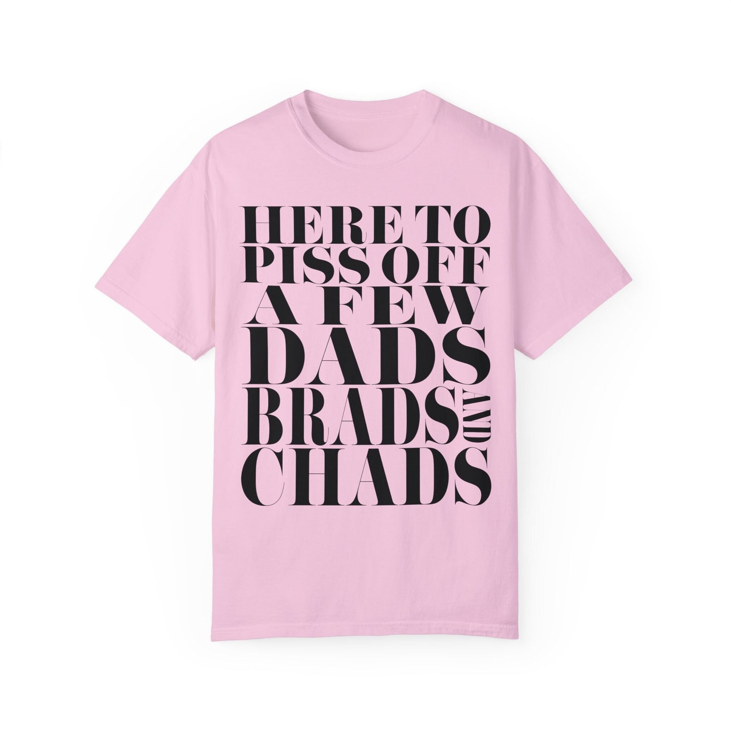 Dads, Brads, and Chads Comfort Colors Tee Funny Meme Tee Swiftie Tswift Tshirt Swiftmas Funny Gift For Her Funny Tshirt Football Era Shirt