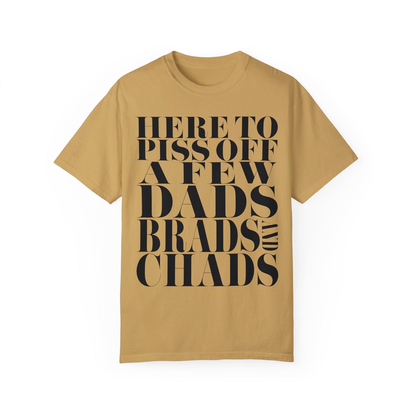 Dads, Brads, and Chads Comfort Colors Tee Funny Meme Tee Swiftie Tswift Tshirt Swiftmas Funny Gift For Her Funny Tshirt Football Era Shirt