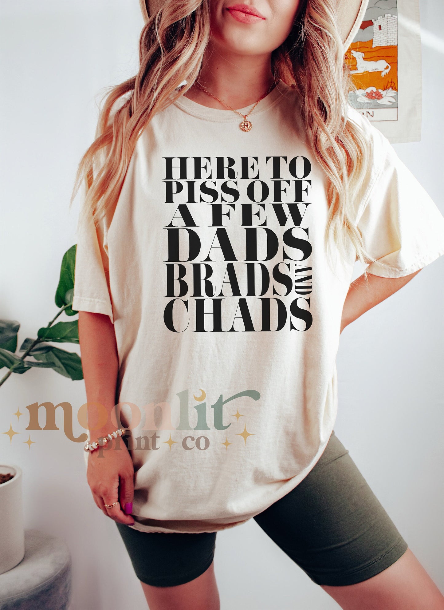 Dads, Brads, and Chads Comfort Colors Tee Funny Meme Tee Swiftie Tswift Tshirt Swiftmas Funny Gift For Her Funny Tshirt Football Era Shirt