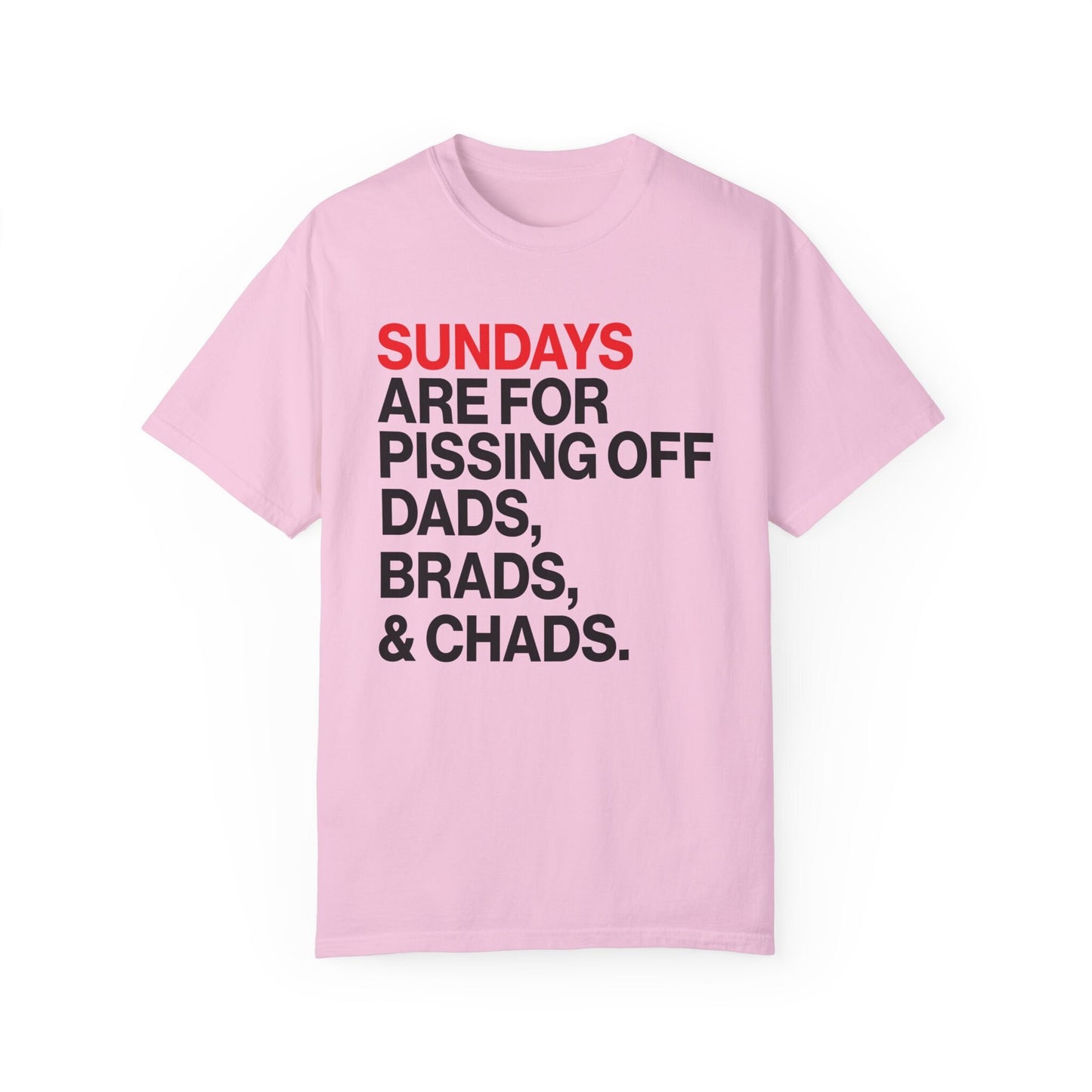 Sundays Are For Dads, Brads, and Chads Football Sunday Shirt Swiftie Football Tee Tswift Funny Tee In My Football Era Merry Swiftmas