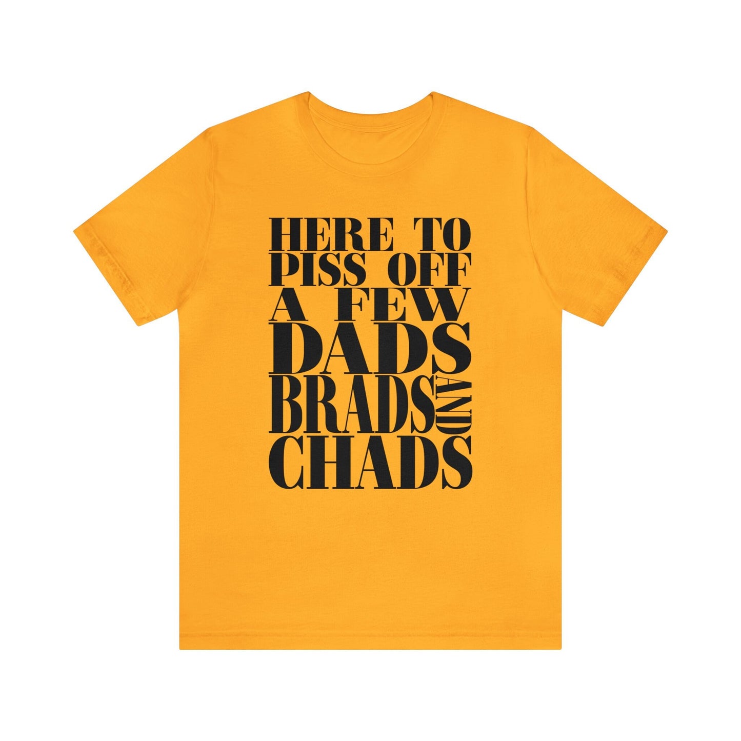 Dads, Brads, and Chads Bella Canvas Tee Funny Meme Tee Swiftie Tswift Tshirt Swiftmas Funny Gift For Her Funny Tshirt Football Era Shirt