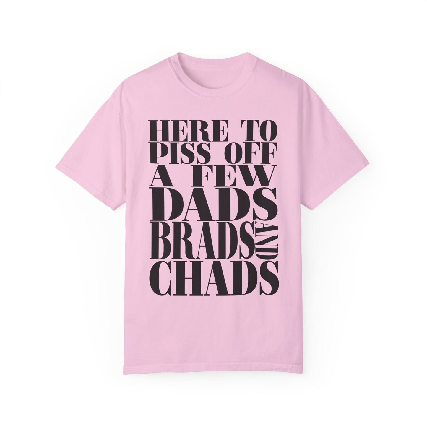 Dads, Brads, and Chads Comfort Colors Tee Funny Meme Tee Swiftie Tswift Tshirt Swiftmas Funny Gift For Her Funny Tshirt Football Era Shirt