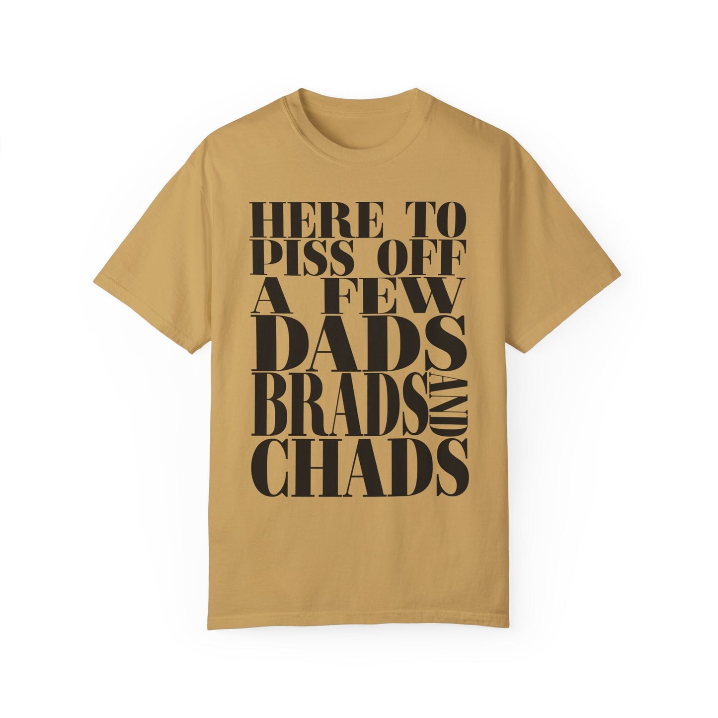 Dads, Brads, and Chads Comfort Colors Tee Funny Meme Tee Swiftie Tswift Tshirt Swiftmas Funny Gift For Her Funny Tshirt Football Era Shirt